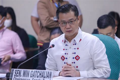 wong pogo|'Ties' of Chinese syndicates to local criminals revealed in POGO .